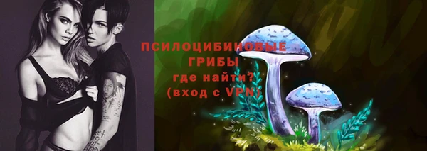 хмурый Кулебаки
