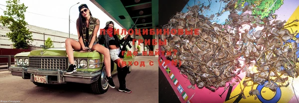 индика Краснотурьинск