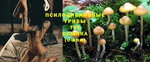 хмурый Кулебаки
