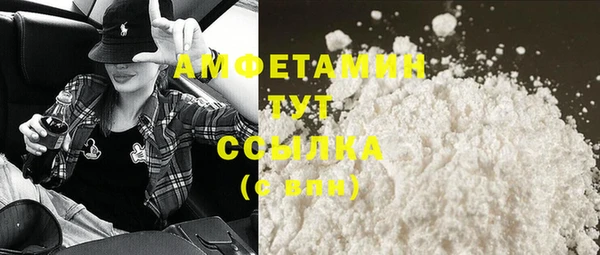 индика Краснослободск