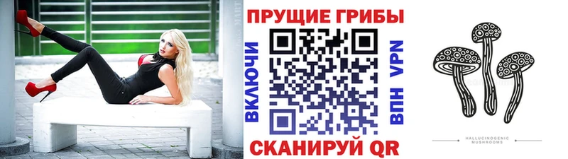 Псилоцибиновые грибы мухоморы  Тогучин 